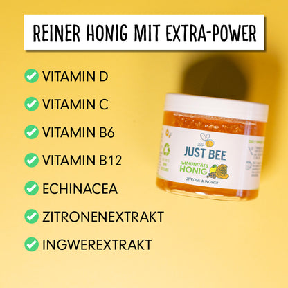 Zitrone-Ingwer Immunitäts Honig Großpackung (6x260g)