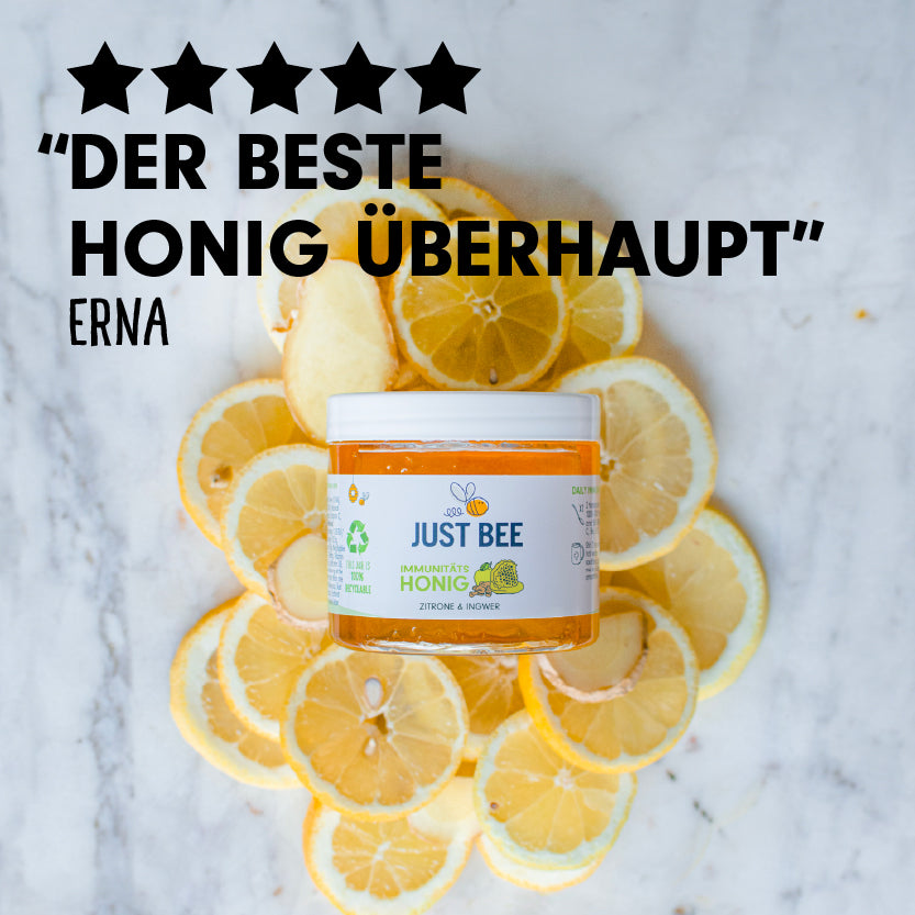 Zitrone-Ingwer Immunitäts Honig Großpackung (6x260g)
