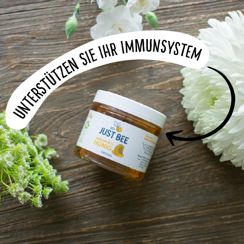 Original Immunitäts Honig (260g)