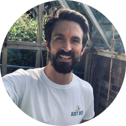 Kurkuma+ Honig mit Kurkuma, Vitaminen D & C Mehrfachpackung (3x260g)