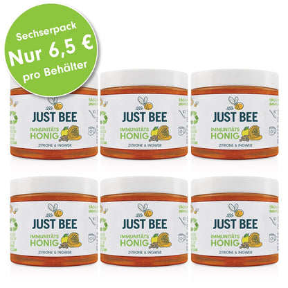 Zitrone-Ingwer Immunitäts Honig Großpackung (6x260g)